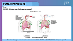 Pembahasan