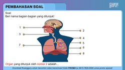Pembahasan