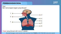 Pembahasan