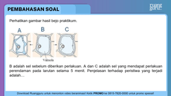Pembahasan