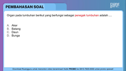 Pembahasan
