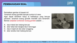 Pembahasan