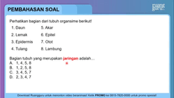 Pembahasan