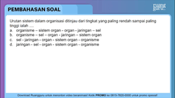 Pembahasan