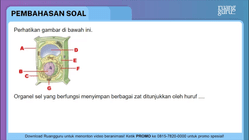 Pembahasan