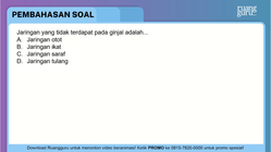 Pembahasan
