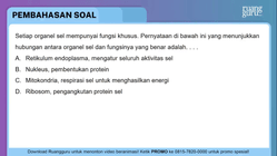 Pembahasan