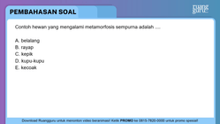 Pembahasan