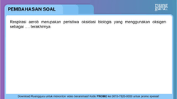 Pembahasan