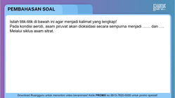 Pembahasan