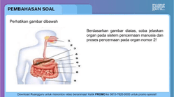 Pembahasan