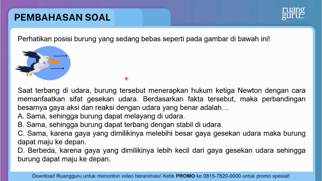 Perhatikan Posisi Burung Yang Sedang Bebas Seperti Perhatikan Posisi Burung Yang Sedang Bebas Seperti