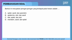 Pembahasan