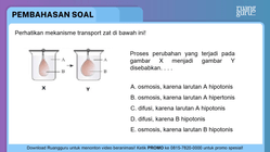 Pembahasan