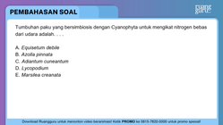 Pembahasan