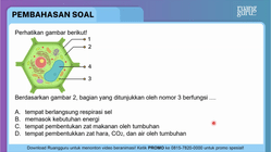 Pembahasan