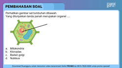 Pembahasan