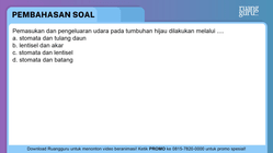 Pembahasan