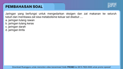 Pembahasan