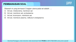 Pembahasan