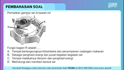 Pembahasan