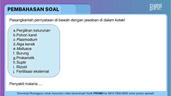Pembahasan