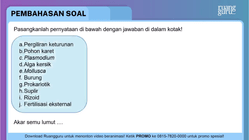 Pembahasan