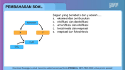 Pembahasan