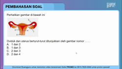Pembahasan