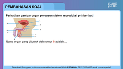 Pembahasan