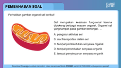 Pembahasan