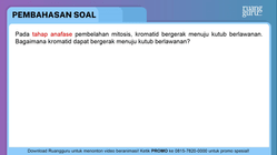Pembahasan