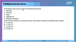 Pembahasan