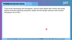 Pembahasan