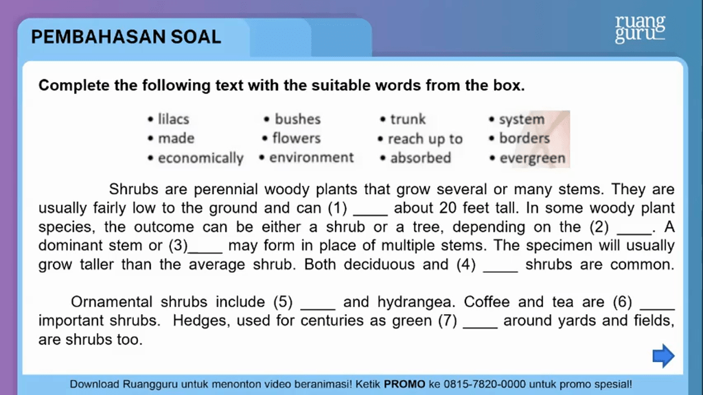 Shrubs Are Perennial Woody Plants That Grow Severa Shrubs Are Perennial Woody Plants That, Comprised Of All Woody Plants That Grow Low To The Ground