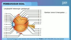 Pembahasan