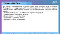 Pembahasan