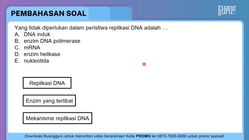 Pembahasan