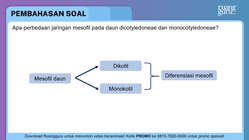 Pembahasan