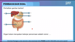 Pembahasan