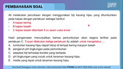 Pembahasan