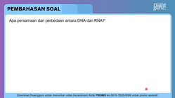 Pembahasan