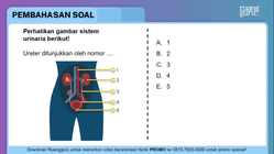 Pembahasan