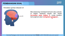 Pembahasan