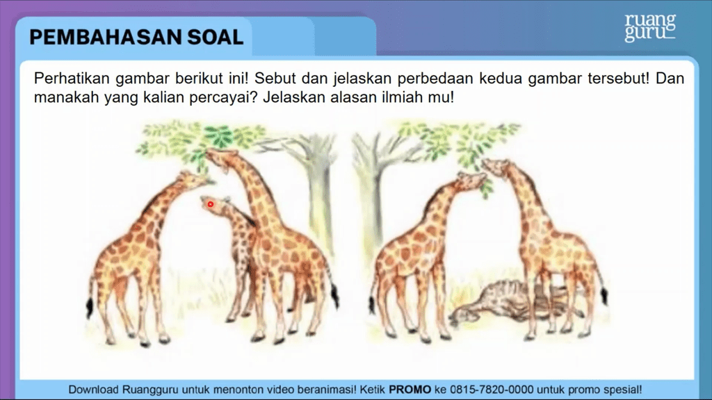 Perhatikan Gambar Berikut Ini! Sebut Dan Jelaskan ...