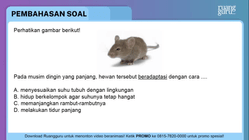 Pembahasan