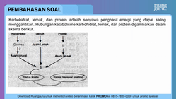 Pembahasan