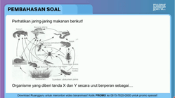 Pembahasan