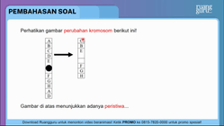 Pembahasan