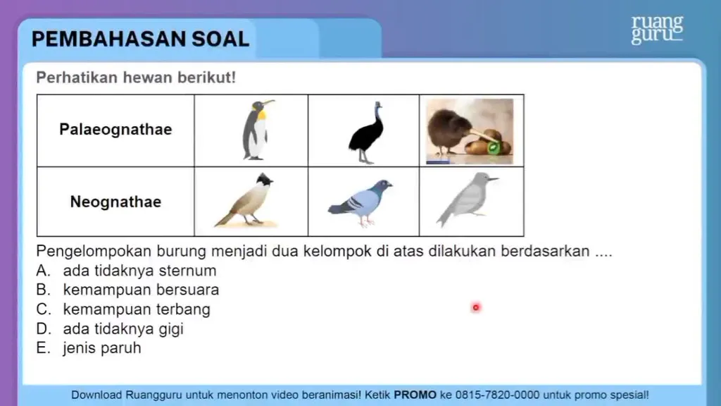 Perhatikan Hewan Berikut! Pengelompokan B...